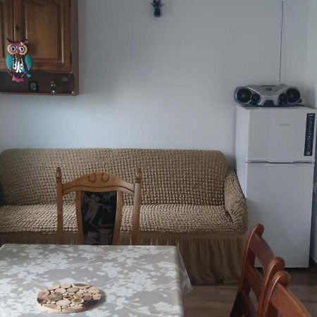 Casa M Apartman Moldvahosszúmező Kültér fotó